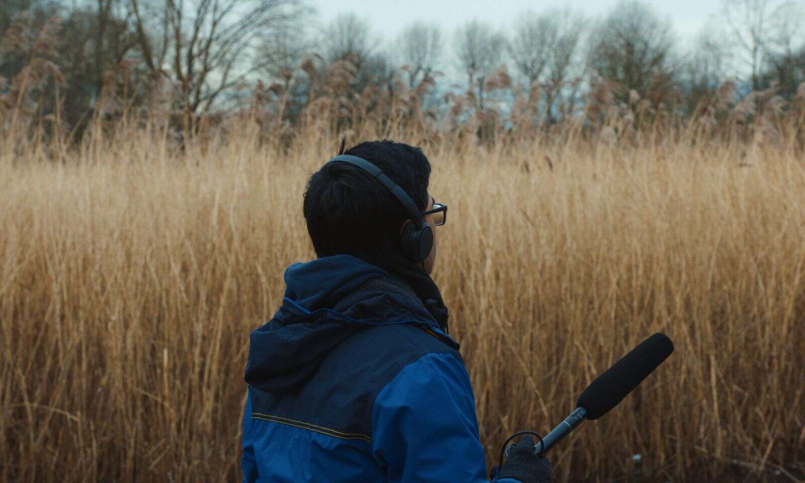 Birding documentary 'Skyward' makes world premiere at Aspen Shortsfest |  AspenTimes.com